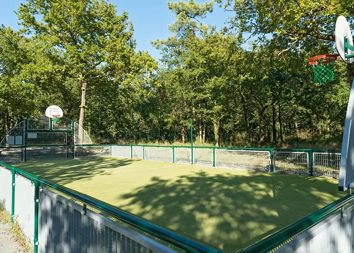 Camping Les Chevrefeuilles Royan